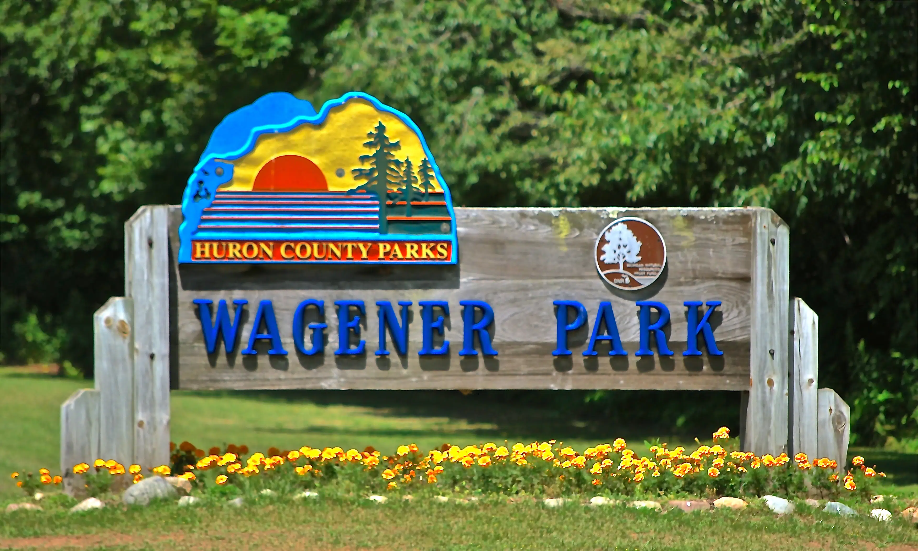 Wagener County Park Campground — photo 6
