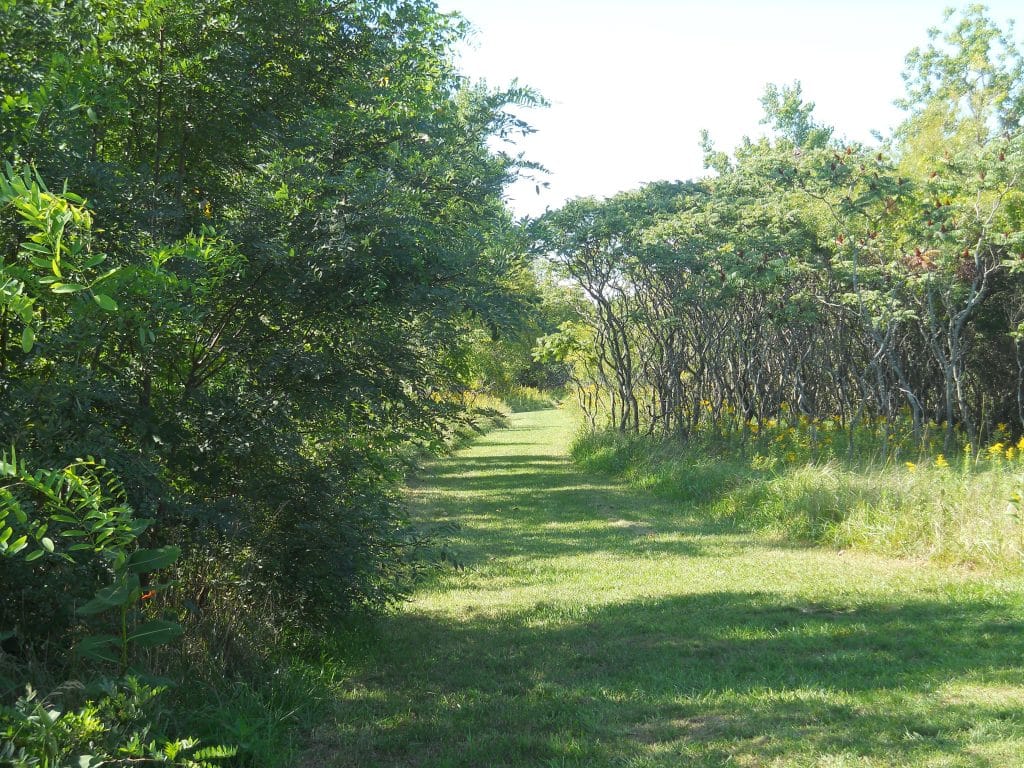 Sebewaing Huron County Parks